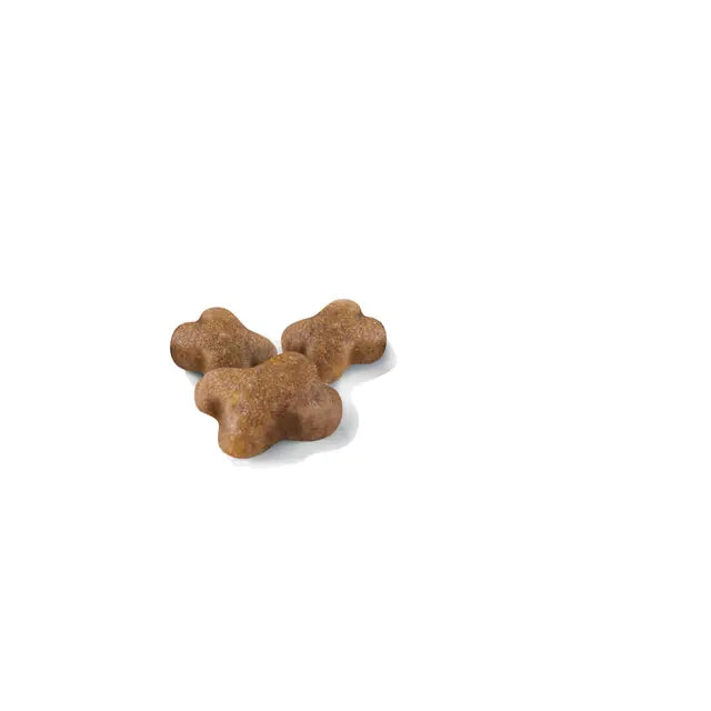 Royal Canin Kitten Dry Cat Food