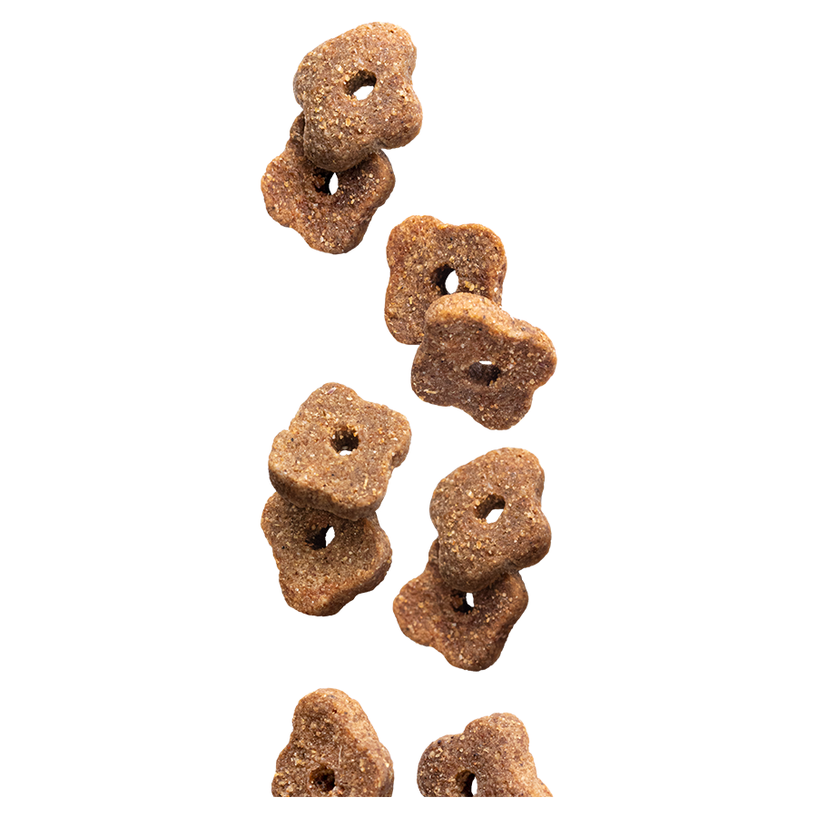 Euro Premium Senior – Dry Dog Food