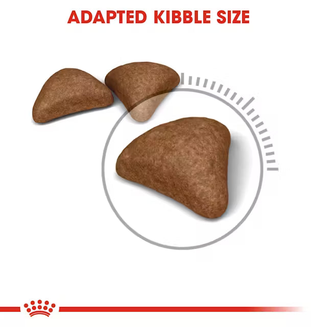 Royal Canin Hairball Care – Dry Cat Food