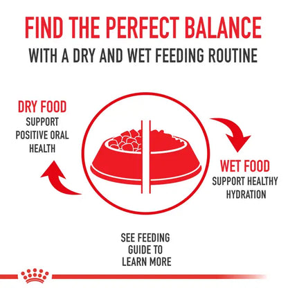 Royal Canin Indoor 27 Adult Dry Cat Food