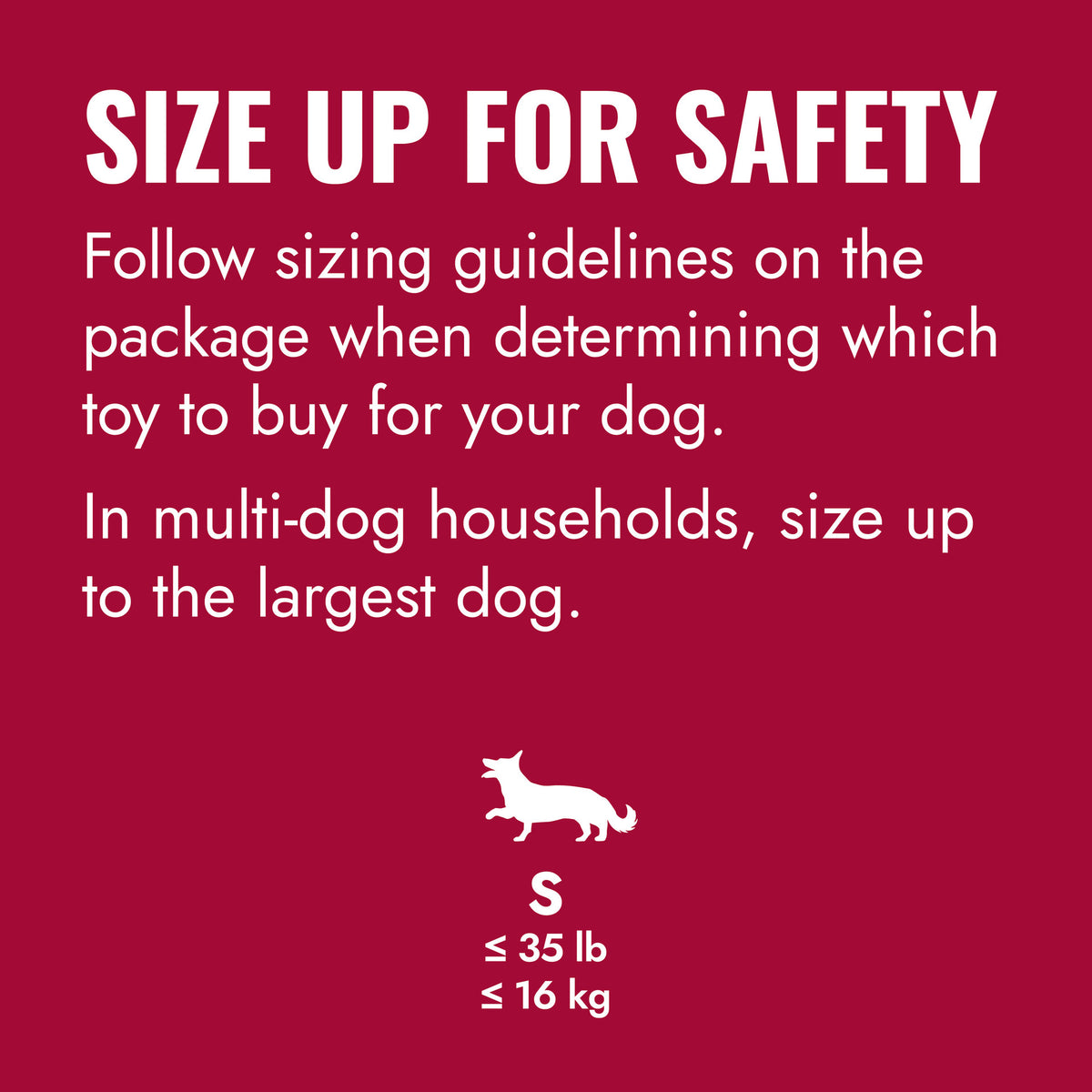 KONG Ball with Rope Small Dog Toy