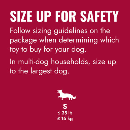 KONG Ball with Rope Small Dog Toy