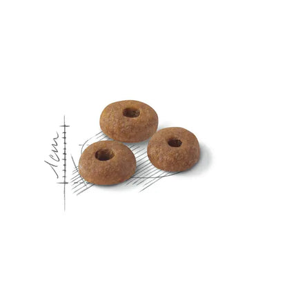 Royal Canin Fit 32 – Dry Cat Food
