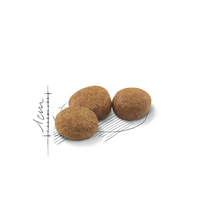 Royal Canin Sterilized 37 – Dry Cat Food