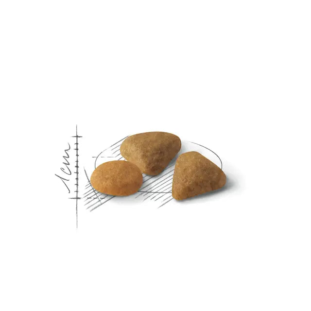 Royal Canin Savour Exigent – Dry Cat Food