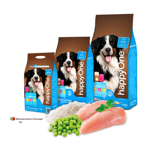 Dog Adult