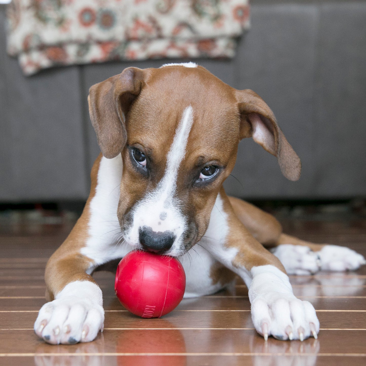 KONG Ball with Hole