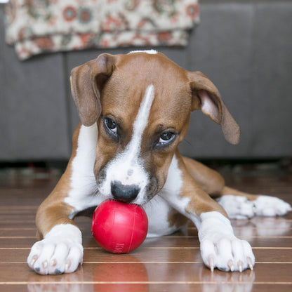 KONG Ball with Hole Dog Toy