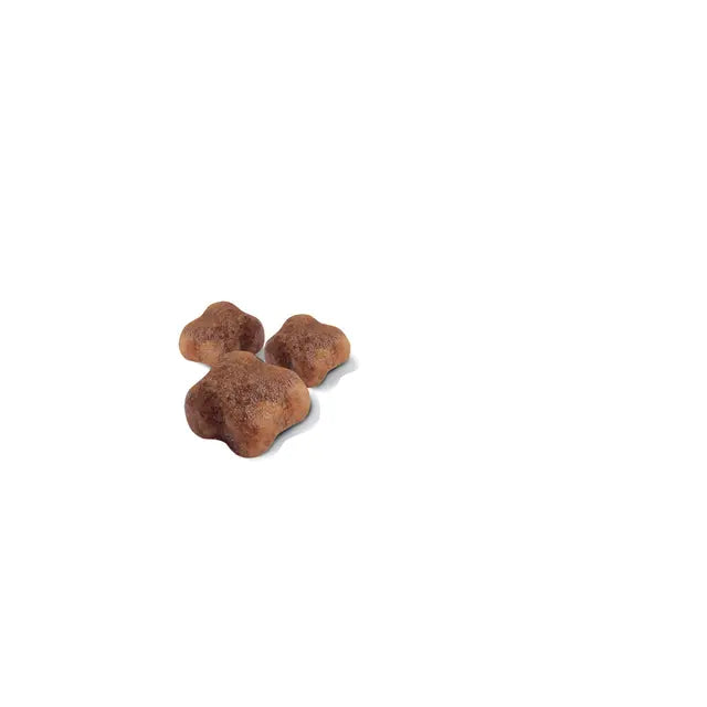 Royal Canin Mother & Babycat Dry Cat Food