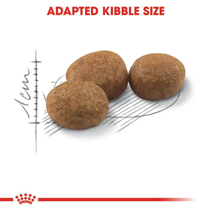 Royal Canin Sterilized 37 – Dry Cat Food