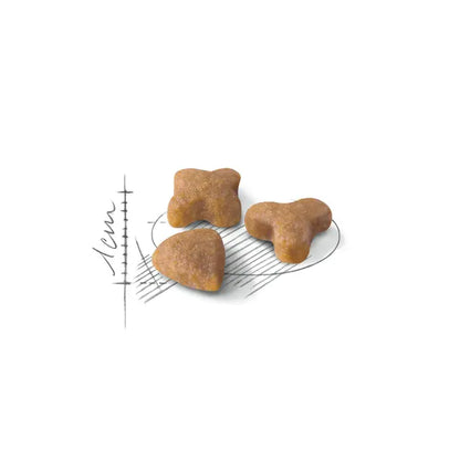Royal Canin Sensible 33 – Dry Cat Food