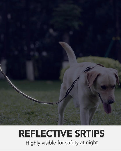 Dog on a leash with reflective strips at night, text 'Reflective Strips Highly visible for safety at night'.