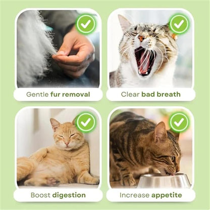 Kittygreen Cat Grass Chew Sticks