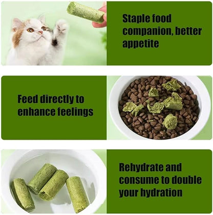 Kittygreen Cat Grass Chew Sticks