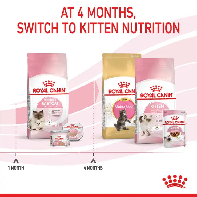 Royal Canin Mother & Babycat Dry Cat Food