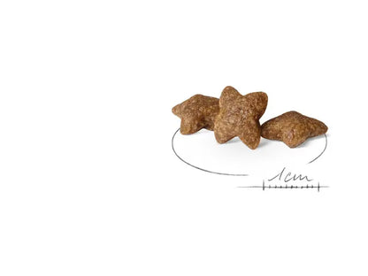 Royal Canin Mini Adult – Dry Dog Food