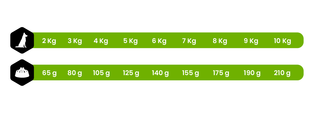 MINI ADULT 2/10 KG