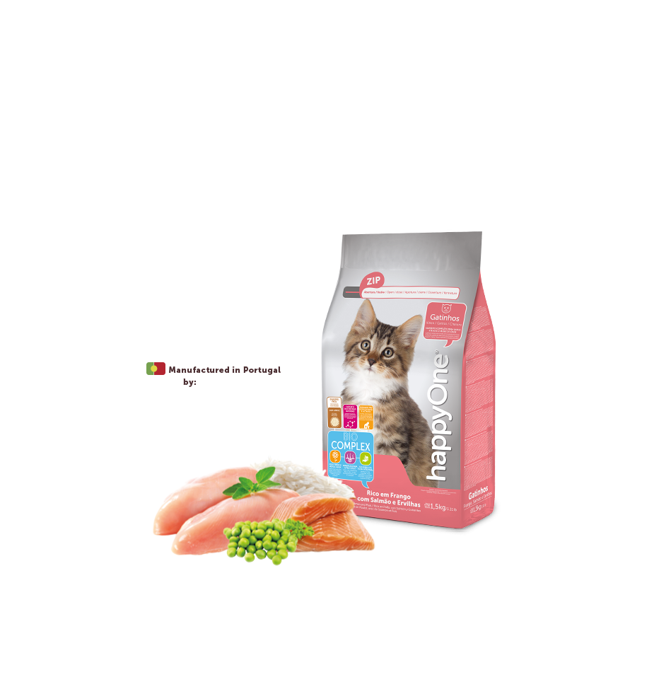 Kitten