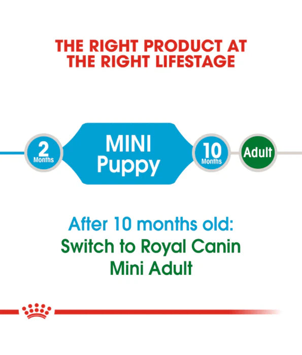 Royal Canin Mini Puppy – Dry Dog Food