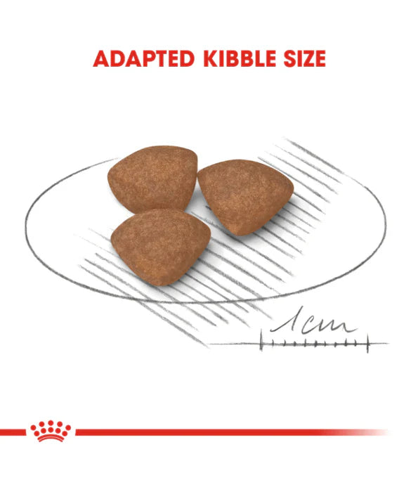Royal Canin Mini Puppy – Dry Dog Food