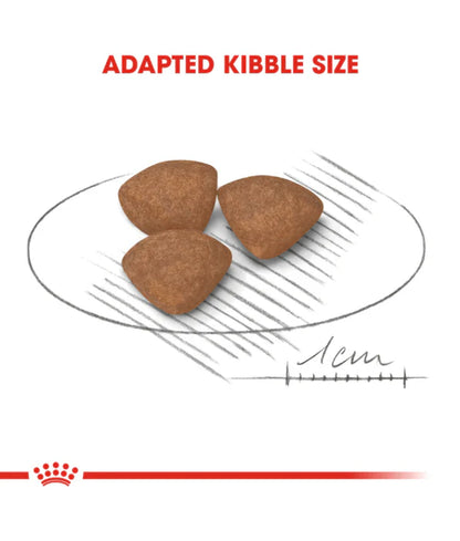 Royal Canin Mini Puppy – Dry Dog Food