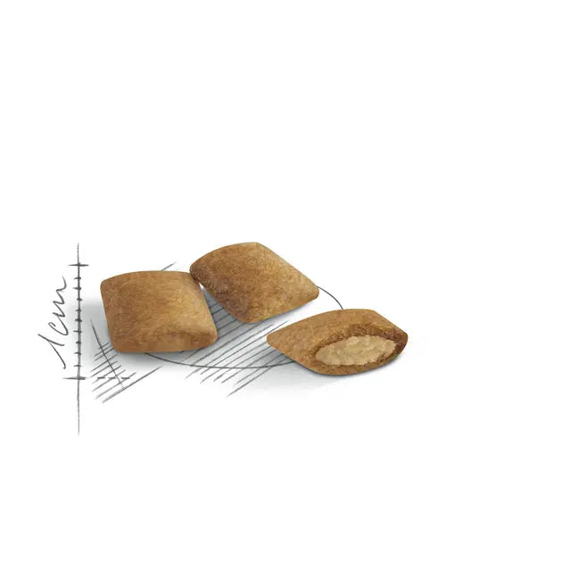 Royal Canin Ageing 12+ – Dry Cat Food