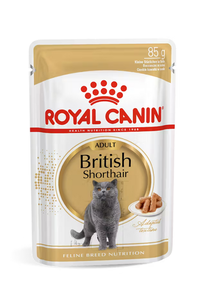 Royal Canin British Shorthair Narrow Chunks In Gravy – Wet Cat Food