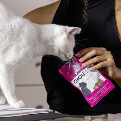 Vitakraft Cat Choupette Cat Treats