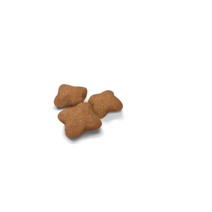 Royal Canin Kitten Sterilized Dry Cat Food