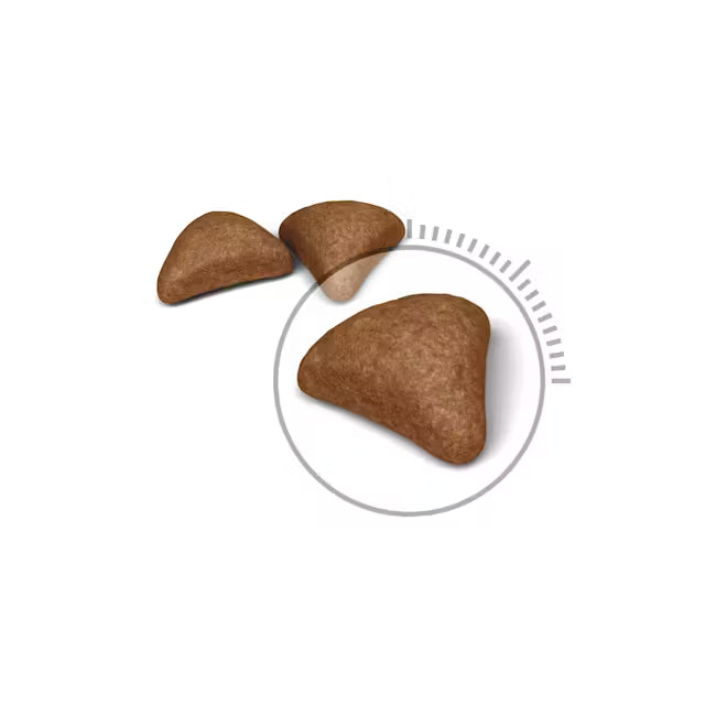 Royal Canin Hairball Care – Dry Cat Food