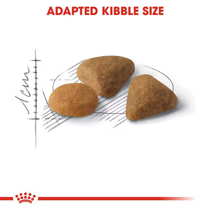 Royal Canin Savour Exigent – Dry Cat Food