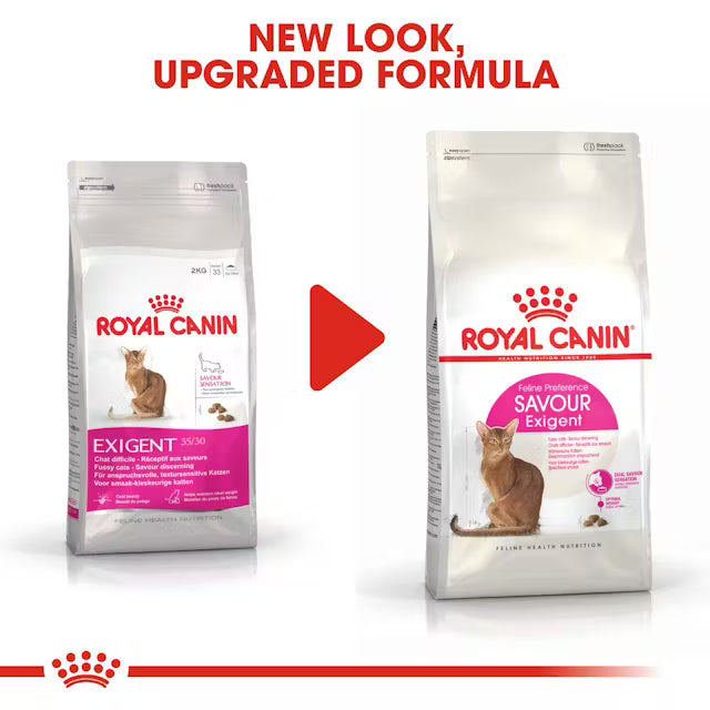 Royal Canin Savour Exigent – Dry Cat Food