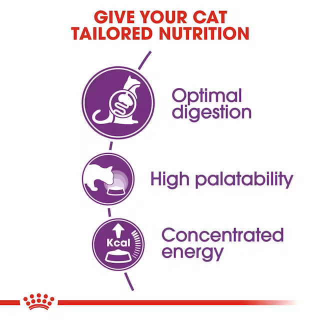 Royal Canin Sensible 33 – Dry Cat Food