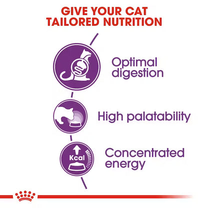 Royal Canin Sensible 33 – Dry Cat Food