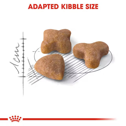 Royal Canin Sensible 33 – Dry Cat Food