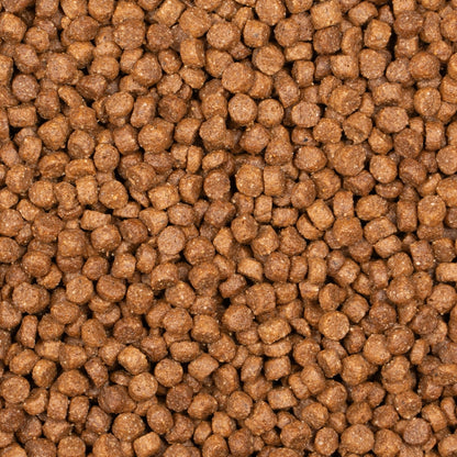 Voskes Kitten Complete Chicken – Dry Cat Food