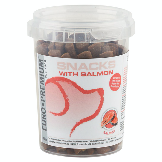 Snack with Salmon