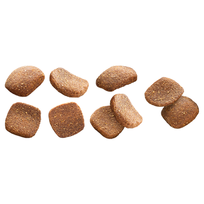 Euro Premium Giant Adult – Dry Dog Food