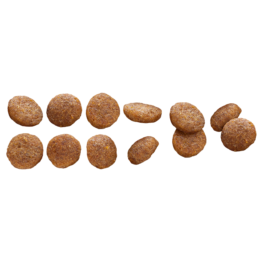 Euro Premium Medium Puppy – Dry Dog Food