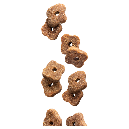 Euro Premium Senior – Dry Dog Food
