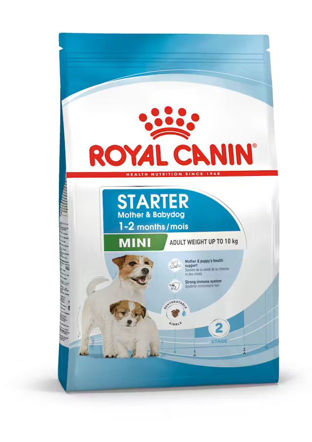 Royal Canin Mini Starter Mother & Baby 4KG – Dry Dog Food