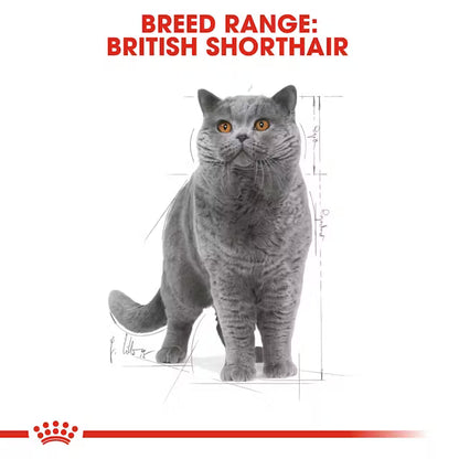 Royal Canin British Shorthair Narrow Chunks In Gravy – Wet Cat Food
