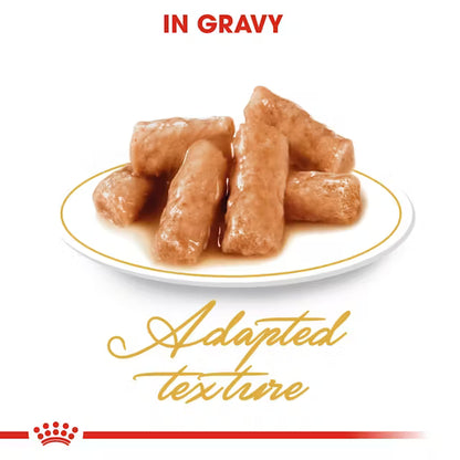 Royal Canin British Shorthair Narrow Chunks In Gravy – Wet Cat Food