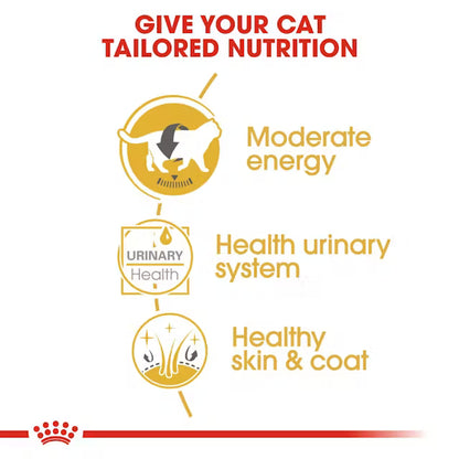 Royal Canin British Shorthair Narrow Chunks In Gravy – Wet Cat Food