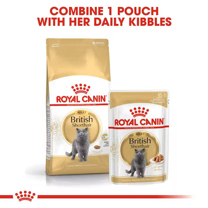 Royal Canin British Shorthair Narrow Chunks In Gravy – Wet Cat Food