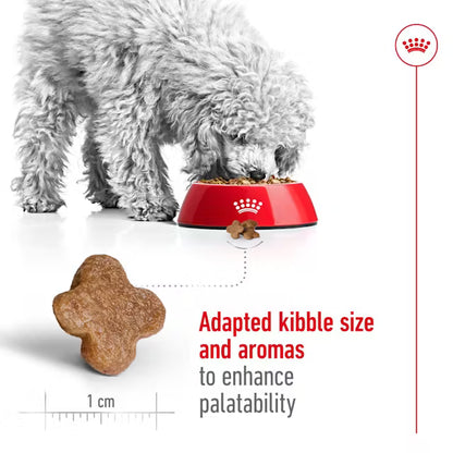 Royal Canin Mini Adult 8+ – Dry Dog Food