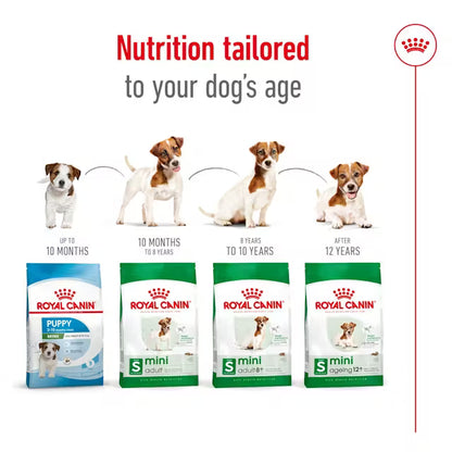 Royal Canin Mini Adult 8+ – Dry Dog Food