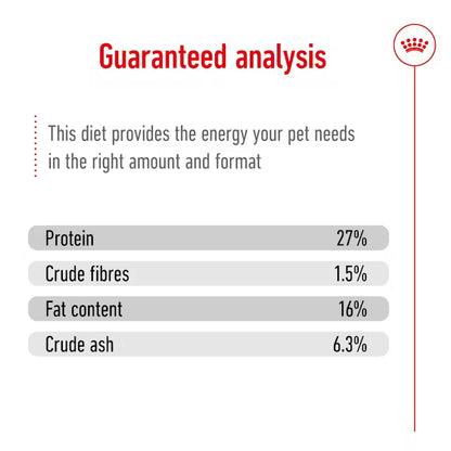 Royal Canin Mini Adult 8+ – Dry Dog Food