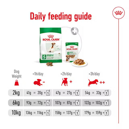 Royal Canin Mini Adult 8+ – Dry Dog Food