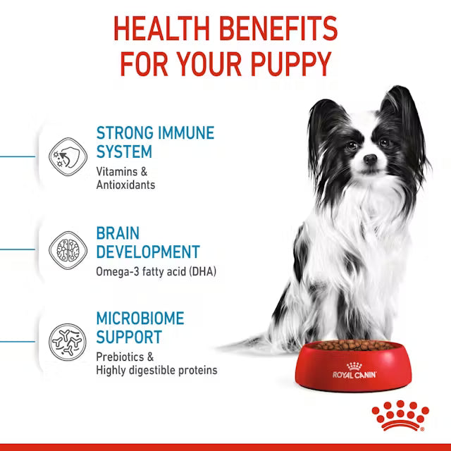 Royal Canin X-Small Puppy 1.5KG – Dry Dog Food